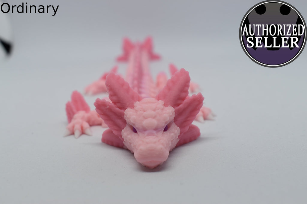 Axolotl Dragon Adult