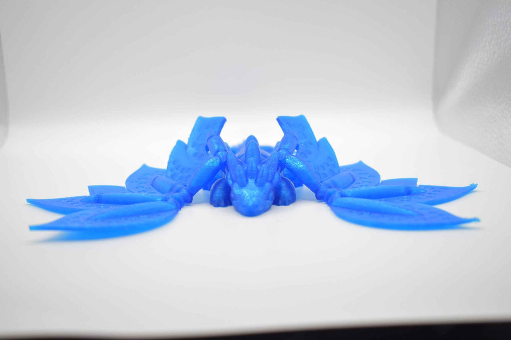 Blossom Dragon Adult