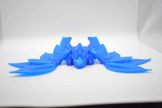 Blossom Dragon Adult