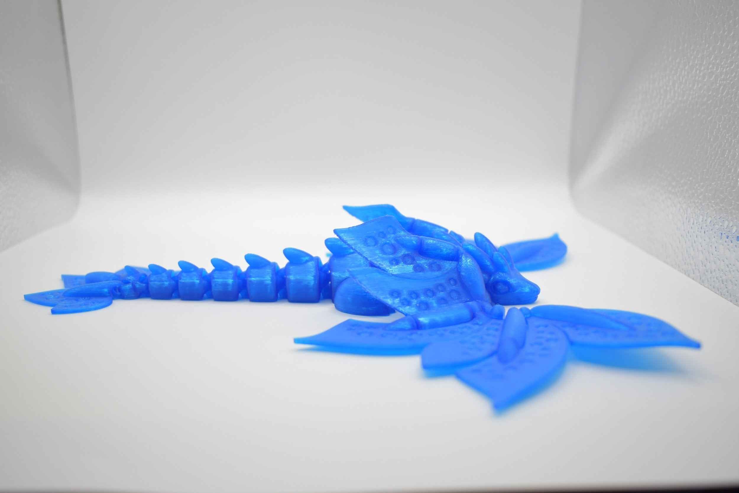 Blossom Dragon Adult