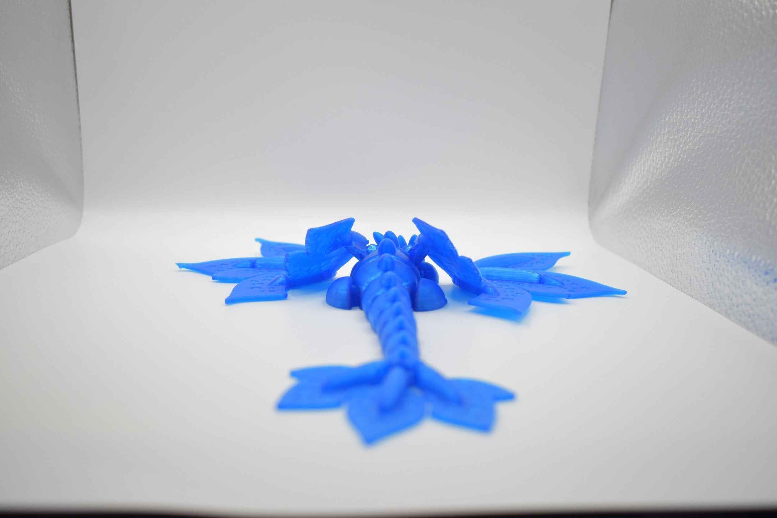 Blossom Dragon Adult