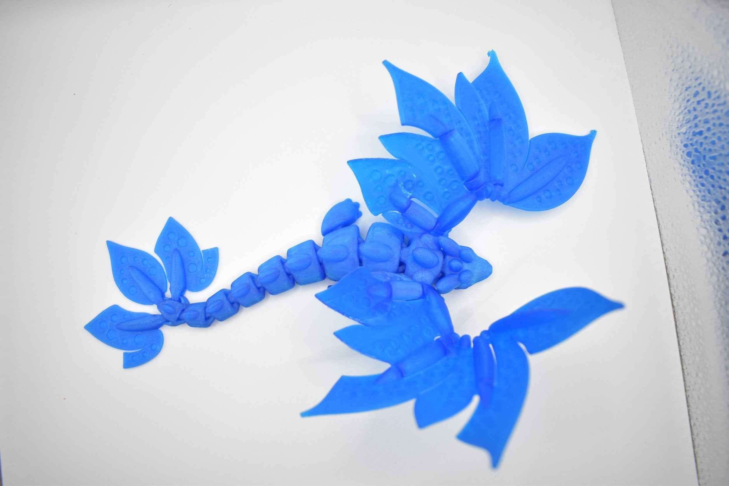 Blossom Dragon Adult