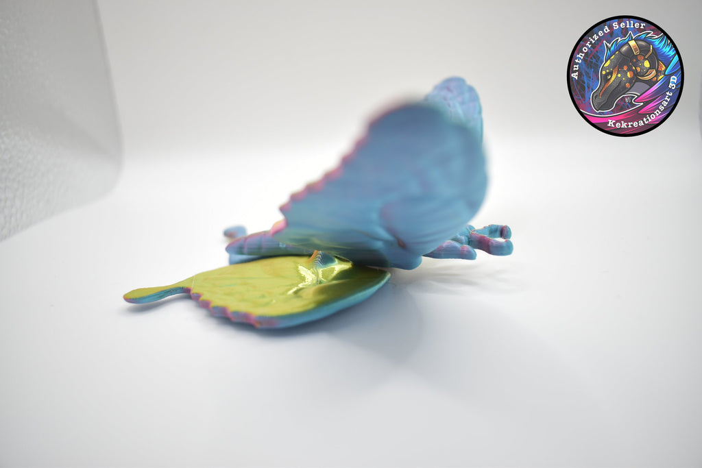 Butterfly Adult