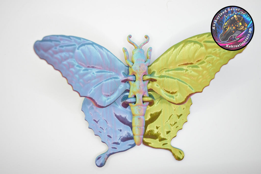 Butterfly Adult