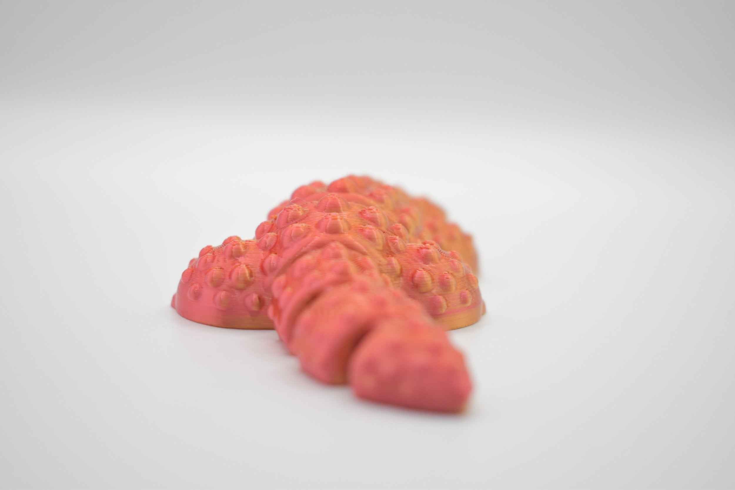 Animals - TinyMakery