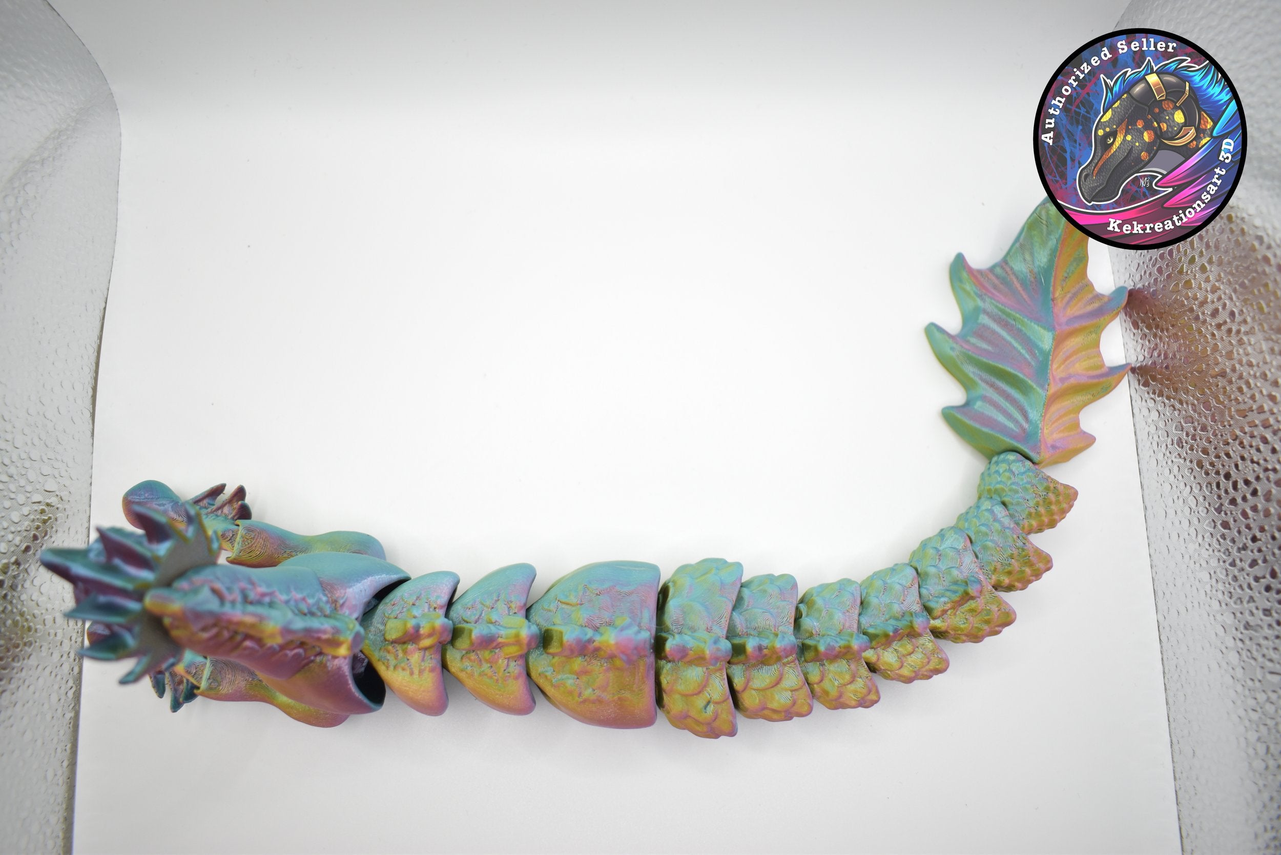 Hippocampus Adult