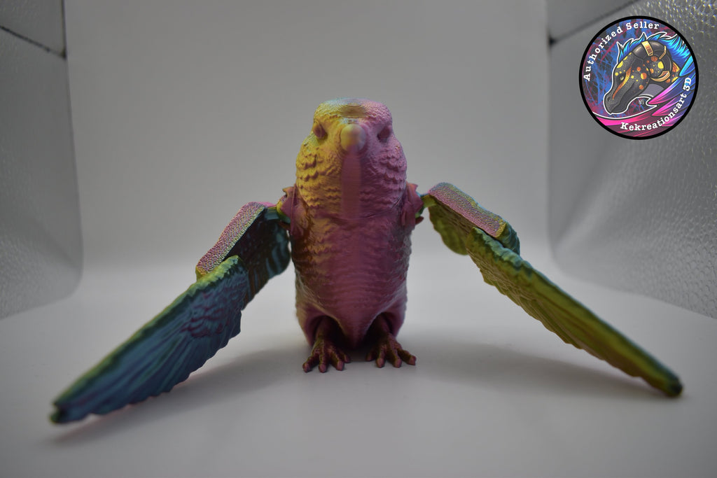 Hummingbird Adult