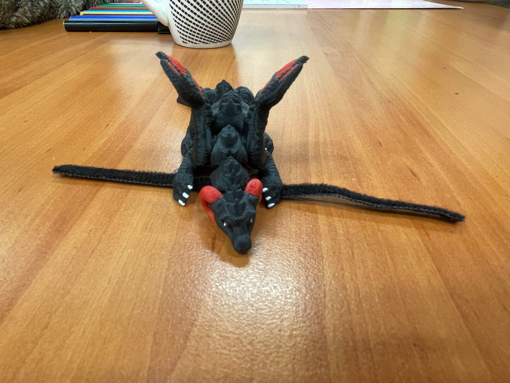 Wheelchair/Bag Dragon Buddy