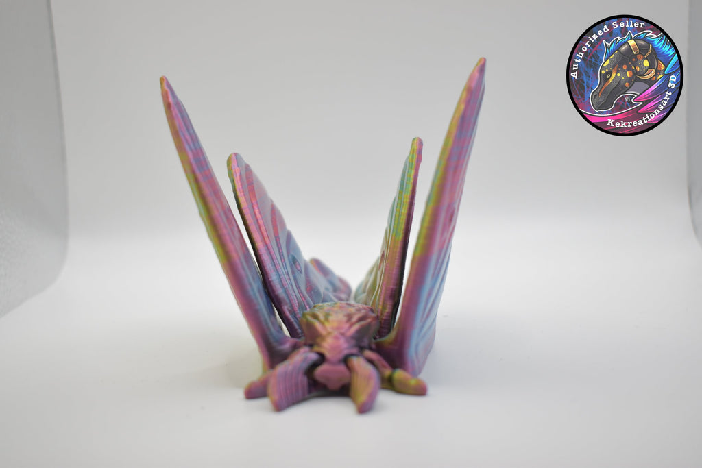 Luna Moth Adult