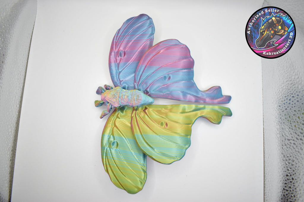 Luna Moth Adult