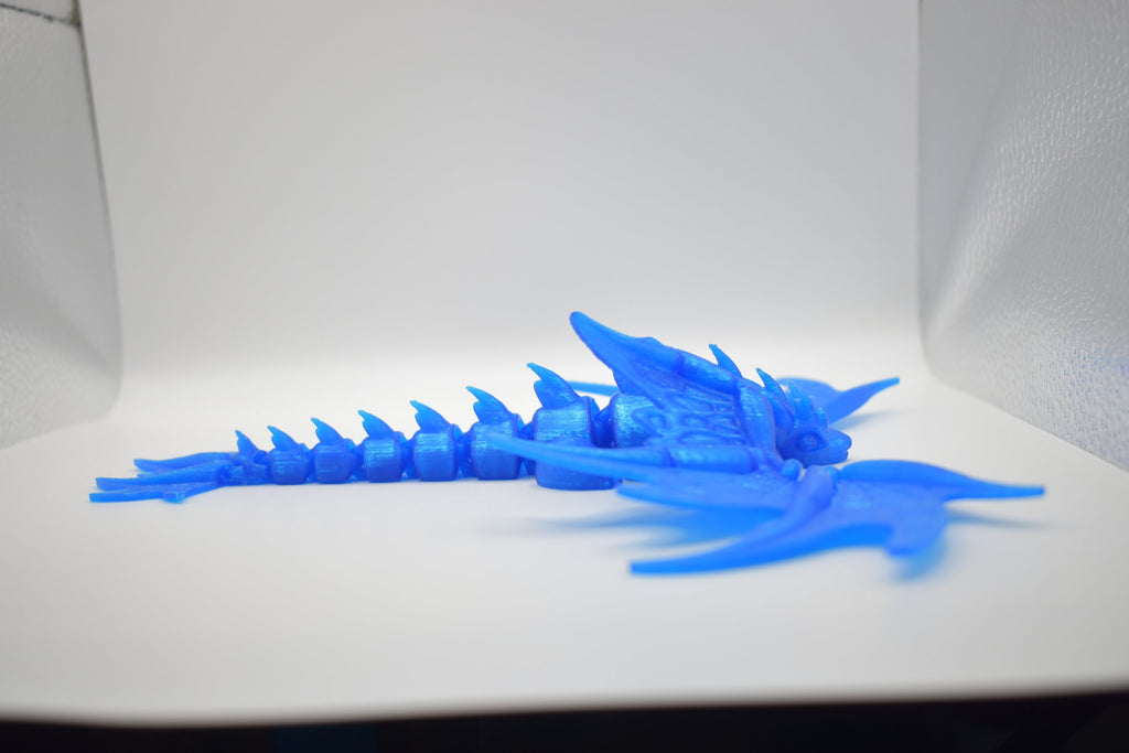 Monarch Dragon Adult