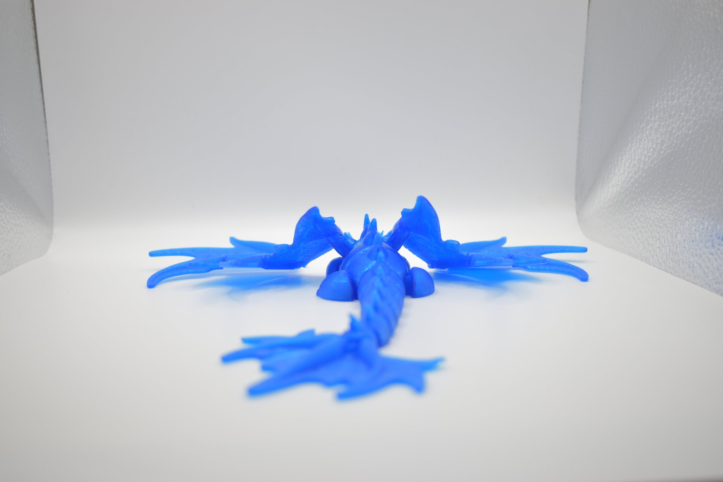 Monarch Dragon Adult