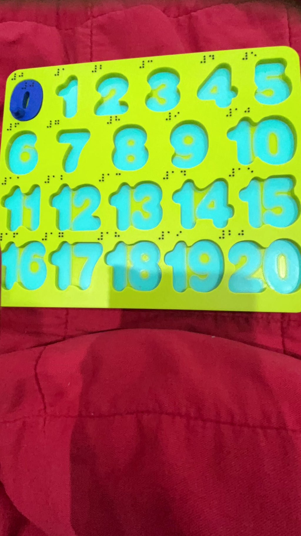 Numbers 0 to 20 Puzzle - Braille version available
